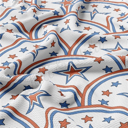 4th of July Patriotic Printed Liverpool Fabric AA2191 & Get a Free $89.99 Embroidery Bundle