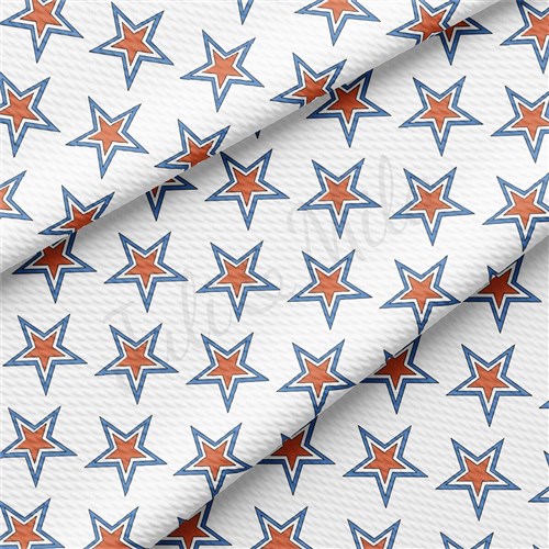 4th of July Patriotic Printed Liverpool Fabric AA2192 & Get a Free $89.99 Embroidery Bundle