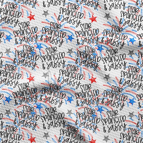 Patriotic 4th of July PT47 Liverpool Bullet Textured Stretch Solid Strip Thick Knit Jersey Fabric