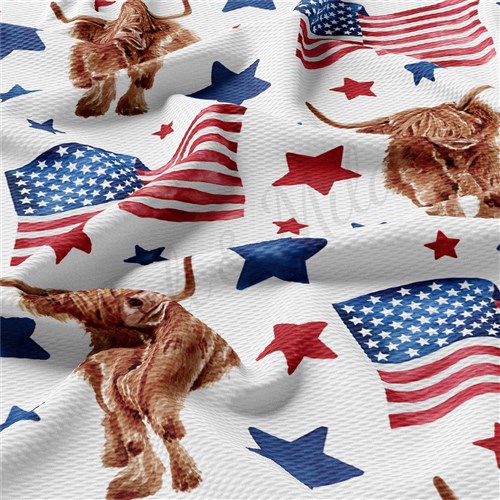 Patriotic 4th of July Printed Liverpool AA1546 & Get a Free $89.99 Embroidery Bundle