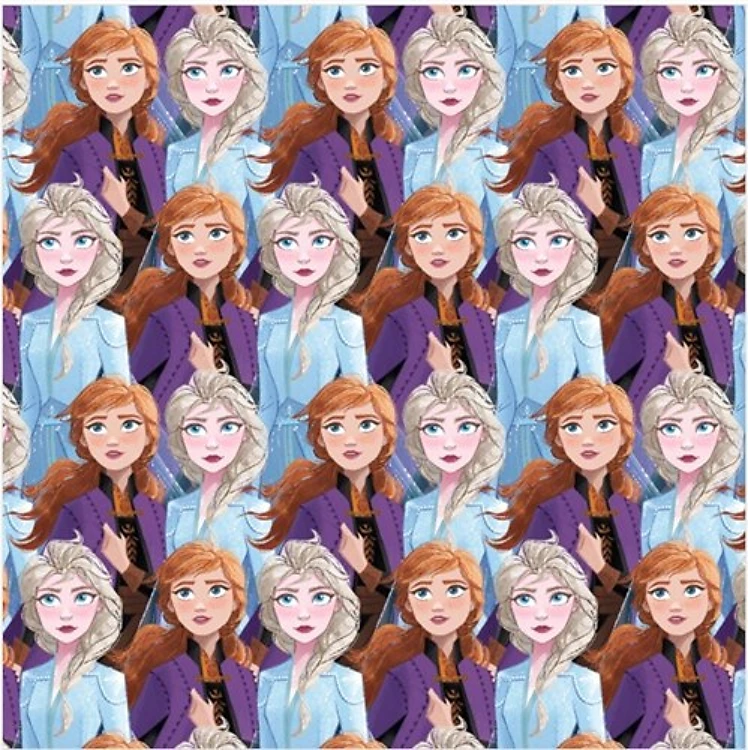 Frozen 2 Sisters Packed Elsa & Anna on Fleece & Get a Free $89.99 Embroidery Bundle