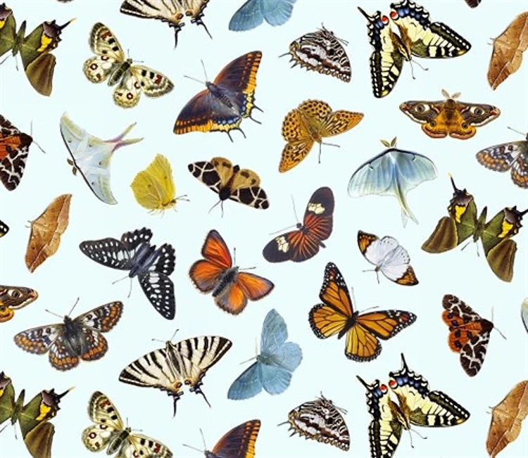 Butterflies and Moths Packed Sky Blue & Get a Free $89.99 Embroidery Bundle
