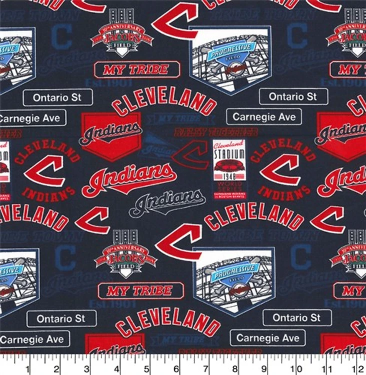 Cleveland MLB Baseball Stadium Design & Get a Free $89.99 Embroidery Bundle