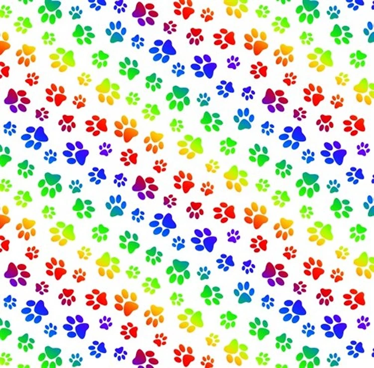 Paw Prints Rainbow on White & Get a Free $89.99 Embroidery Bundle