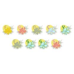 Fancy Eggs Alphabet