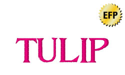 TULIPページ Peckerhead Reading Glasses | eyebobs