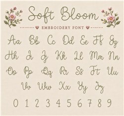 Satin Stripes Script Design