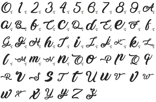 Casa Blanca Script Font