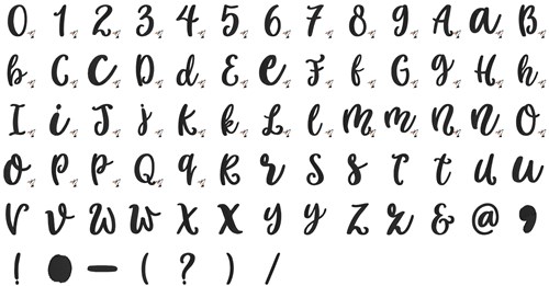 Xenova Font