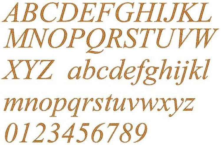 AMD Times New Roman Italic