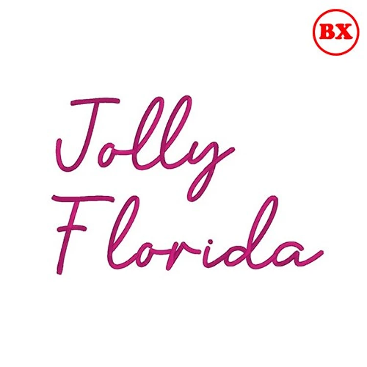 Jolly Florida Embrilliance Font - Playful Script Lettering - BX font