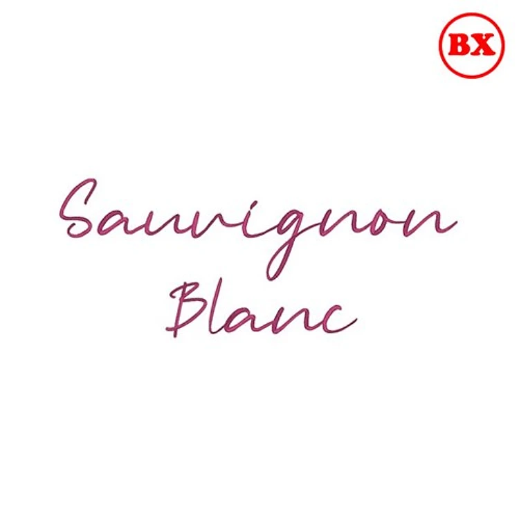 Sauvignon Blanc Embrilliance Font - Flowing Handwritten Script - BX font