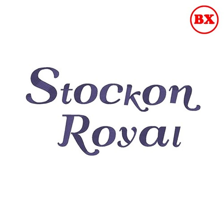 Stockton Royal Embrilliance Font - Elegant Script Style - BX font