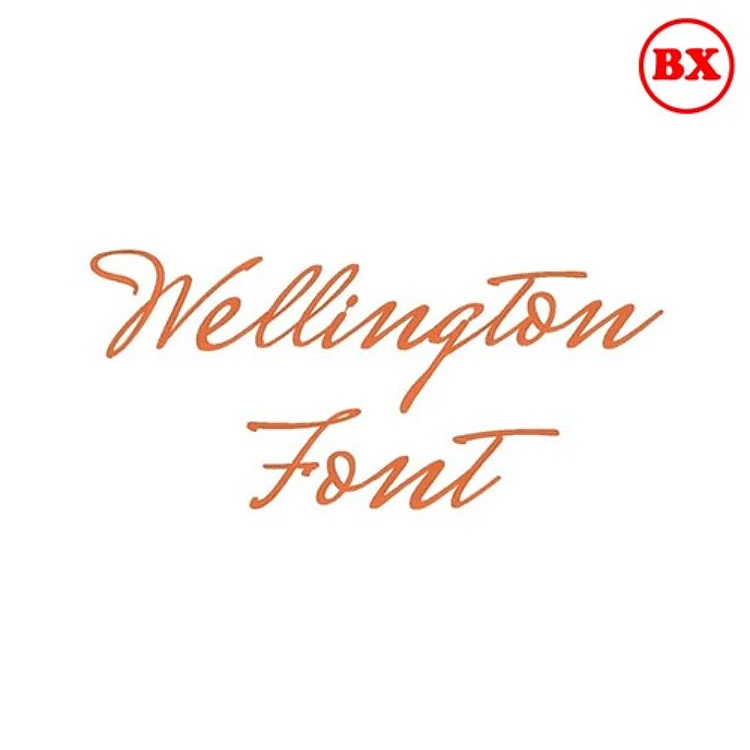 Wellington Embrilliance Font - Elegant Script Lettering - BX font