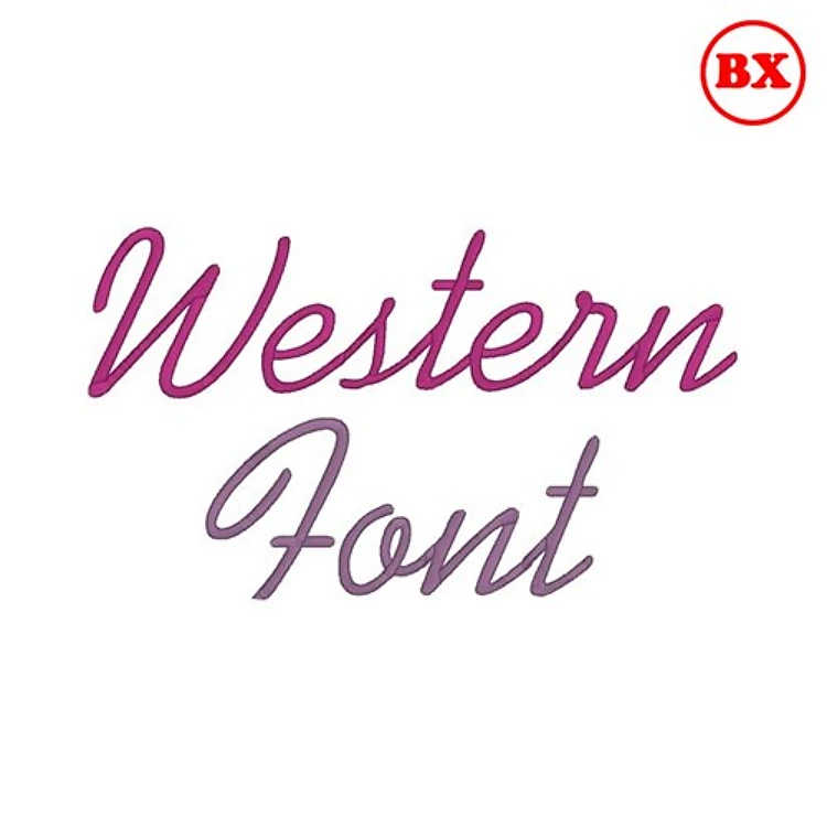 Western Embrilliance Font - Flowing Cursive Script - BX font