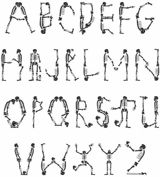 Skeleton Font