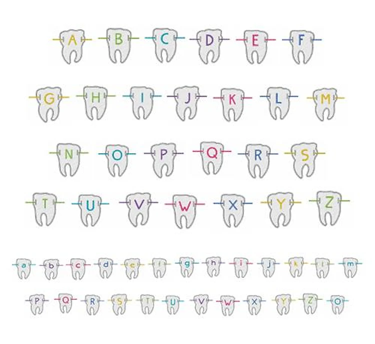 Braces Font Embroidery Font - Outline Decorative Alphabet - Home Format - PES, DST & 11 formats