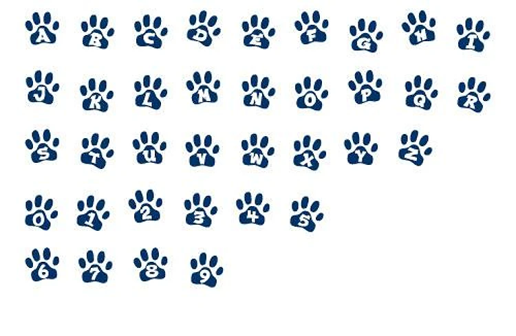 Ennobled Pet 2 Color