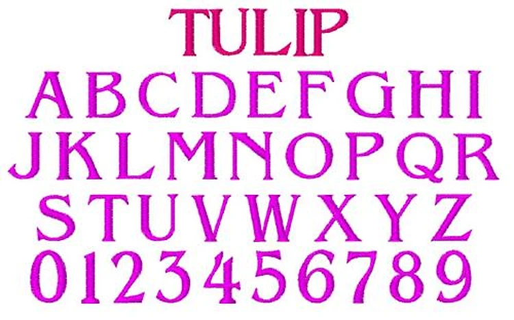 Tulip Embrilliance Embroidery Font - Classic Block Lettering - BX font