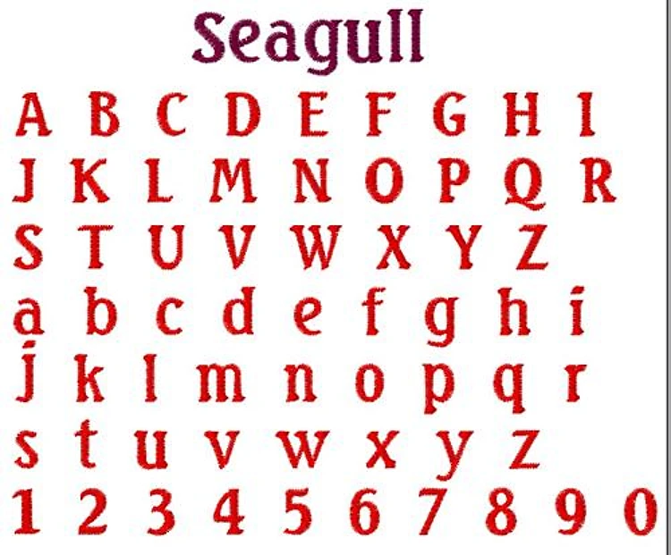 Seagull