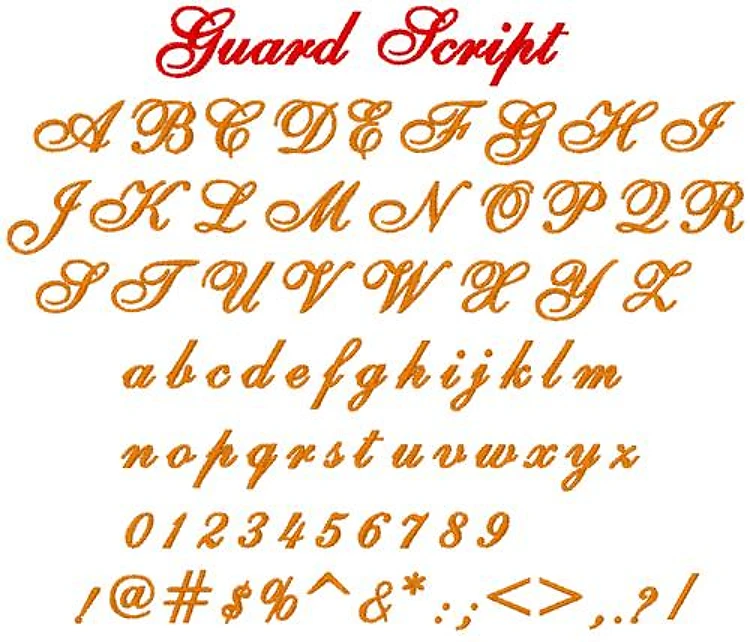 Guard Script