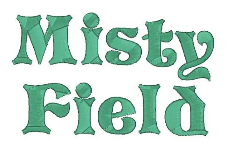 Misty Field