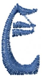 quick stitch font machine embroidery pattern - Windswept MF Font e for Wall Art