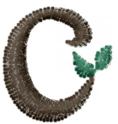 Lower Case c