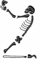 Skeleton Z - 4x4 skeleton quick stitch machine embroidery design for reusable tote bags
