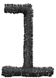 Typewriter Lowercase l