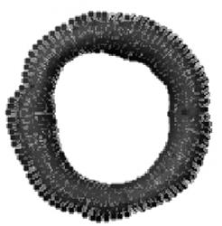 Typewriter Lowercase o