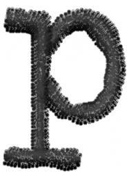 Typewriter Lowercase p