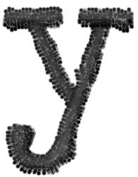 Typewriter Lowercase y
