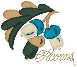 Acorns