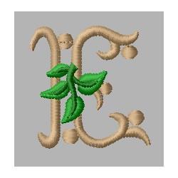 Victorian Letter E
