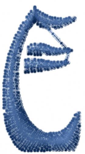 Windswept MF Font E Windswept MF Font E