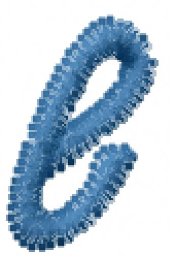 Lower Case e Lower Case e