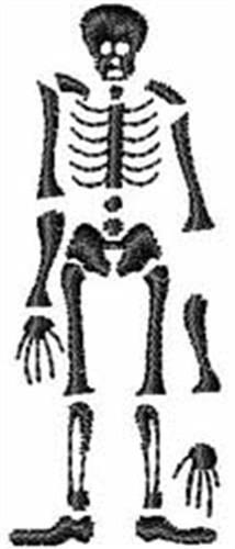 Skeleton I Skeleton I