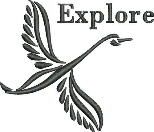 Explore Bird Explore Bird