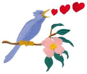 Love Bird Love Bird