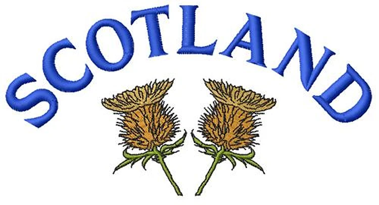 Scotland Thistle