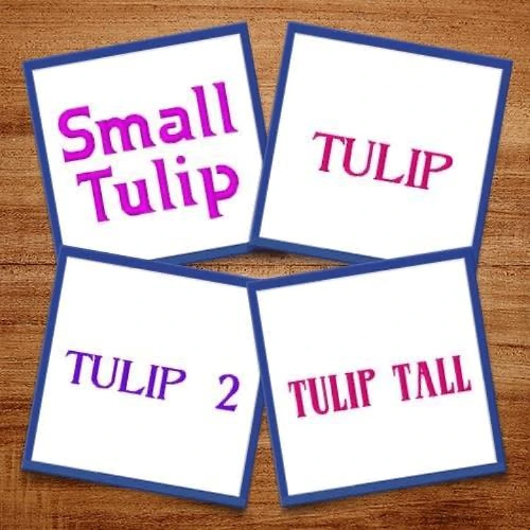 Tulip Fonts Embroidery Font Bundle - Playful Bold Lettering Styles (4 Fonts) - PES, DST & 9 formats