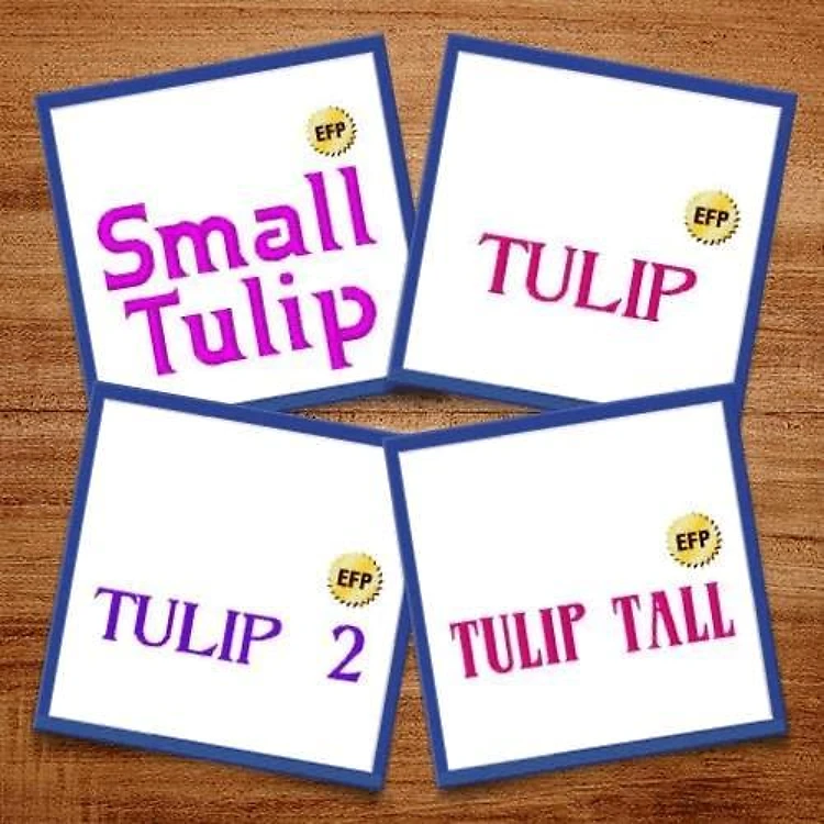 Tulip Fonts Embroidery Font Bundle - Playful Bold Lettering (4 Fonts) - ELP
