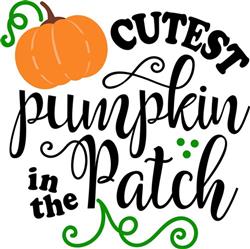 Pumpkin Patch