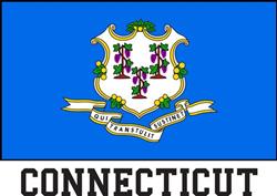 Connecticut Flag