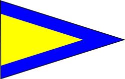 ICS Flag 1st Substitute