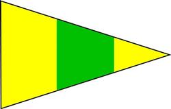 ICS Flag Prompt