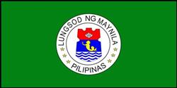 Manila Philippines Flag