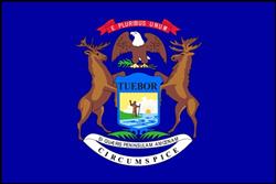 Michigan Flag