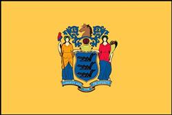 New Jersey Flag